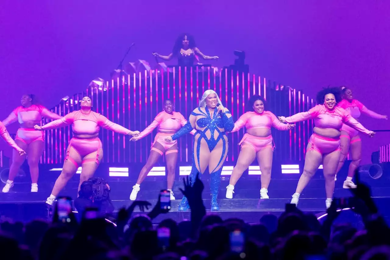 If these Lizzo allegations are true, they are heart-breaking for fat black girls like me