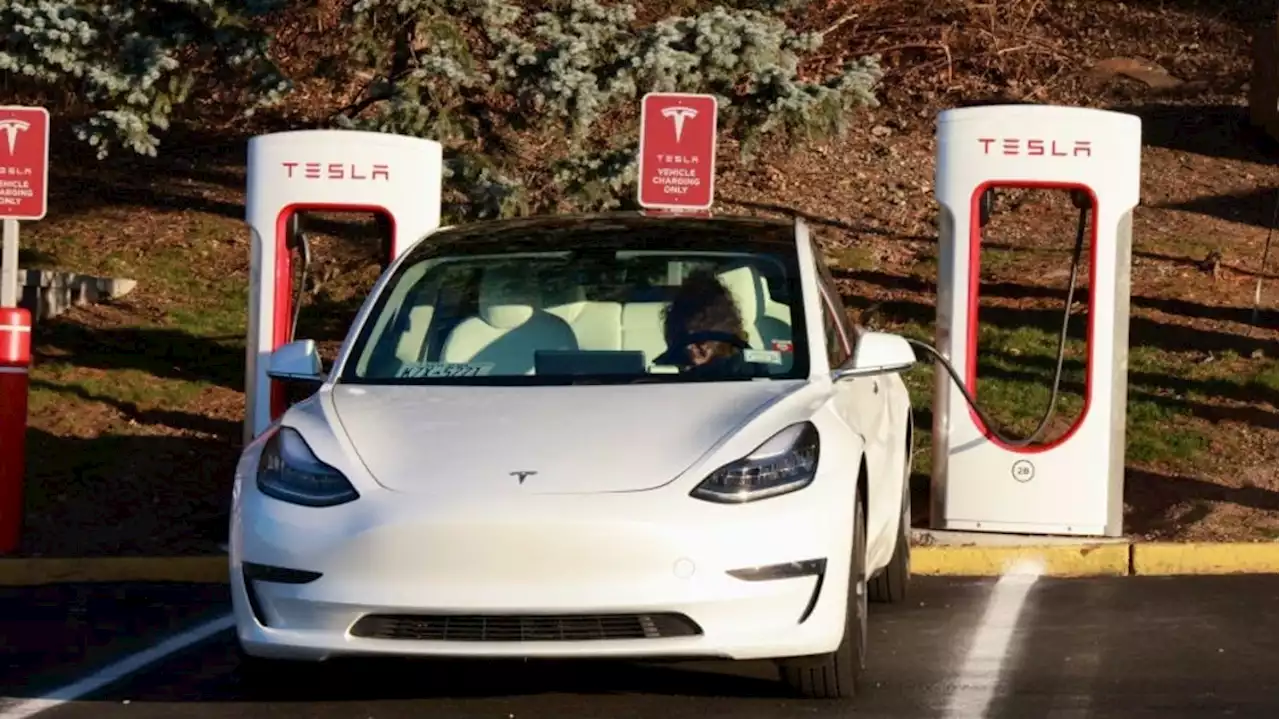 Here's what thousands of Tesla owners really think about their Model 3 - Autoblog