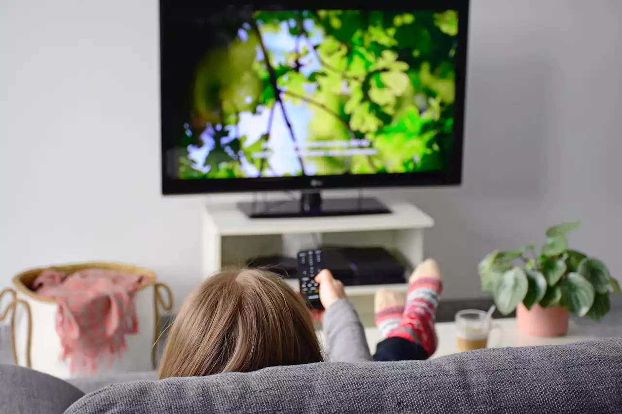 Check your TV for 19 hidden free channels — one is perfect for kids this summer