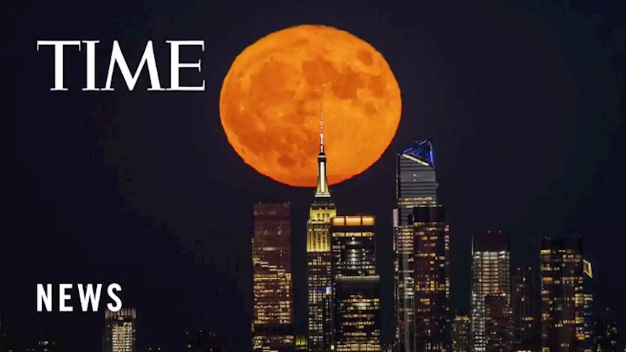 Here's How the Stunning Supermoon Looked Around the World