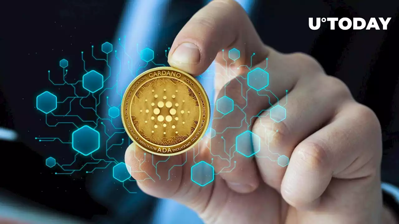 Cardano (ADA) Makes Epic Game-Changing Testnet Announcement: Here's Ultimate Guide