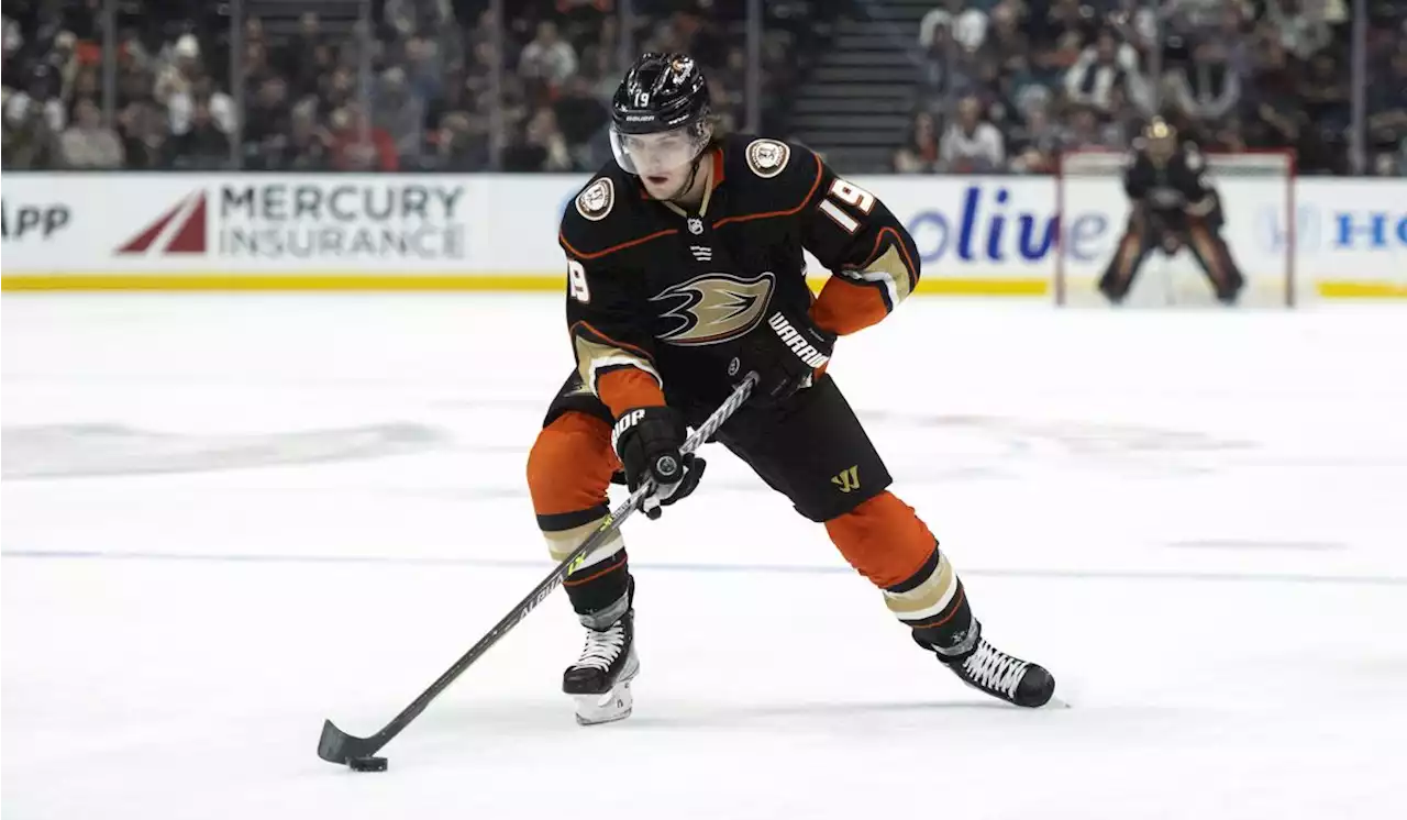 All-Star forward Troy Terry gets a 7-year, $49 million contract extension from the Anaheim Ducks