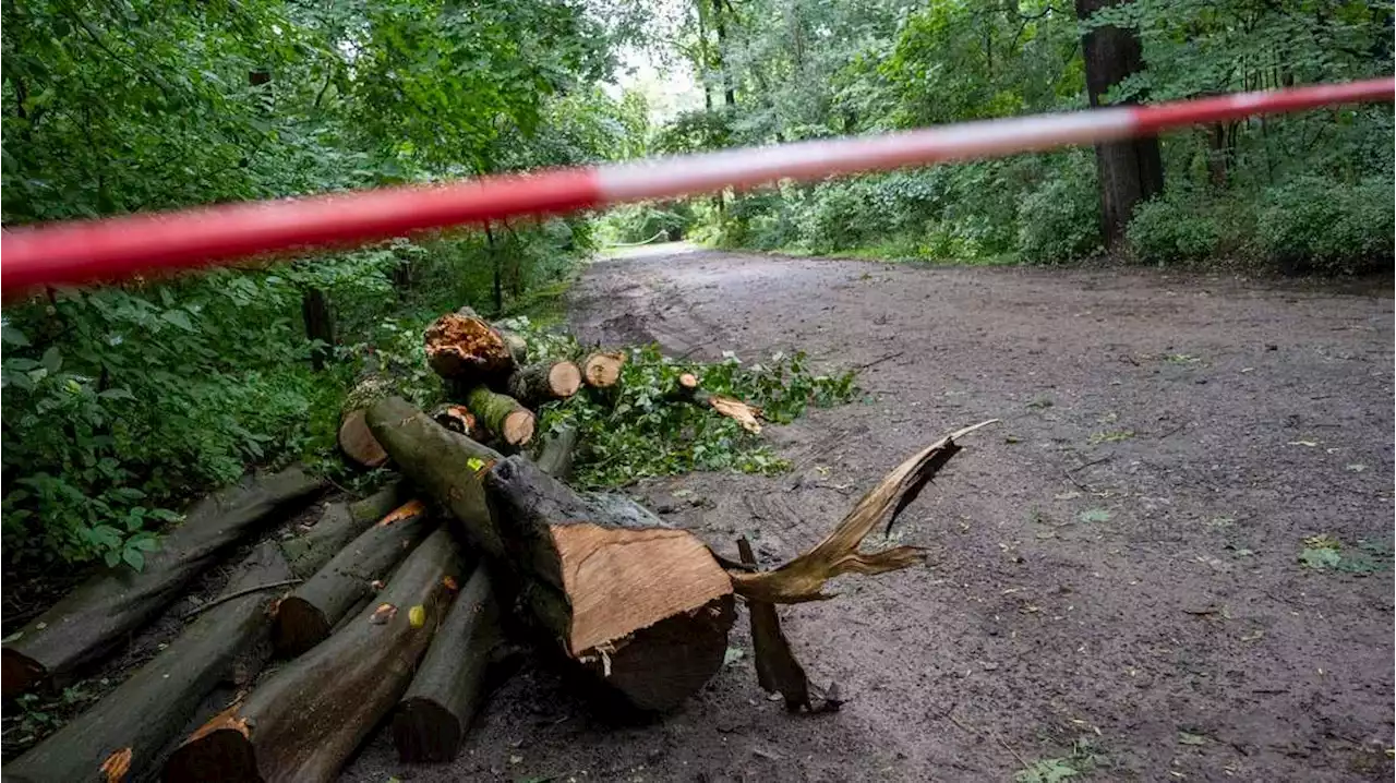 parkleitung warnt erneut davor, den bürgerpark zu betreten