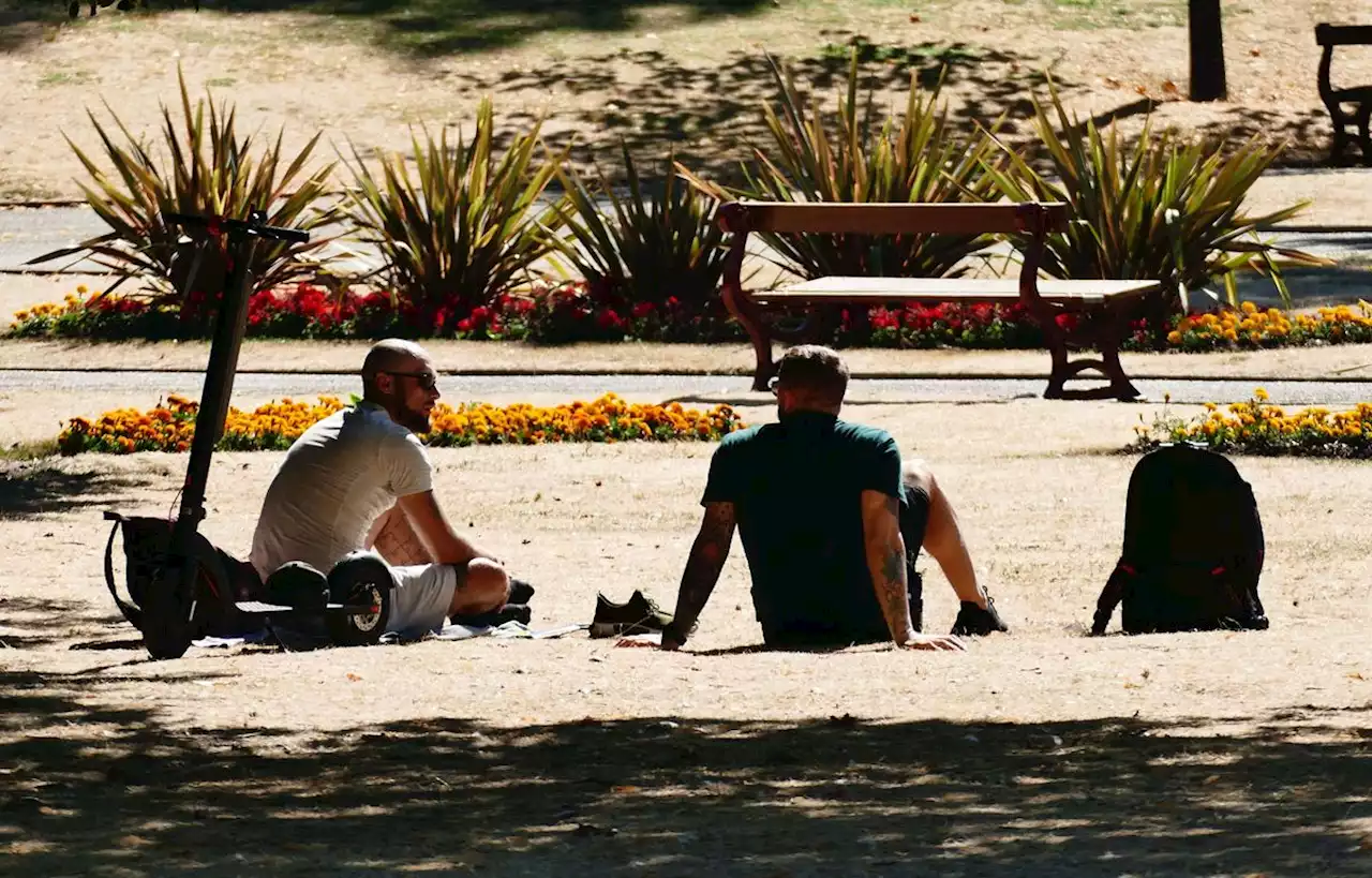 Canicule EN DIRECT : De fortes chaleurs à prévoir dans les 49 départements en vigilance orange, 40 °C attendus dans le Sud-Est…