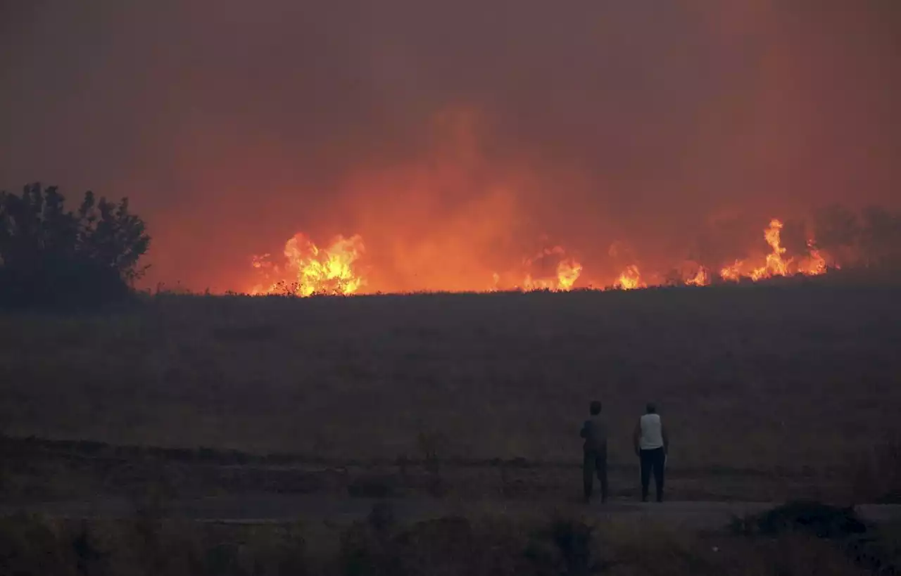 Les incendies continuent d’avancer dans le nord-est de la Grèce