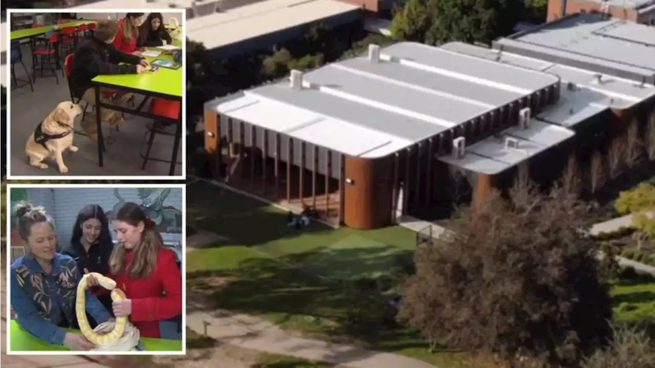 Progressive school that nearly closed named as Australia’s best