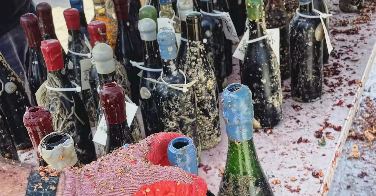 Thousands of ocean-fermented wine bottles destroyed in US