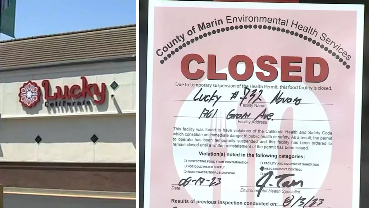 Novato Lucky supermarket temporarily closes due to rodent infestation