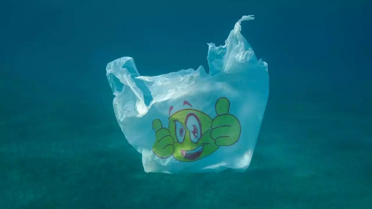 Im Meer schwimmt mehr Plastik als vermutet