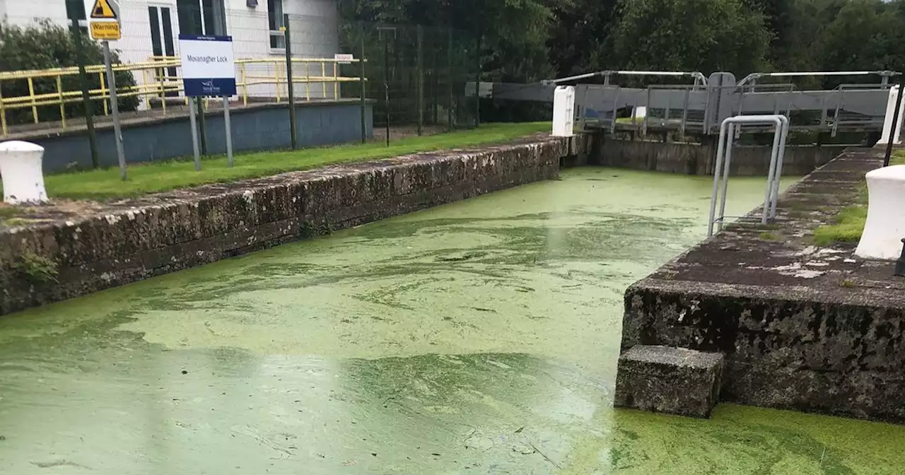 Watersports centre to close due to blue-green algae pollution, owner says