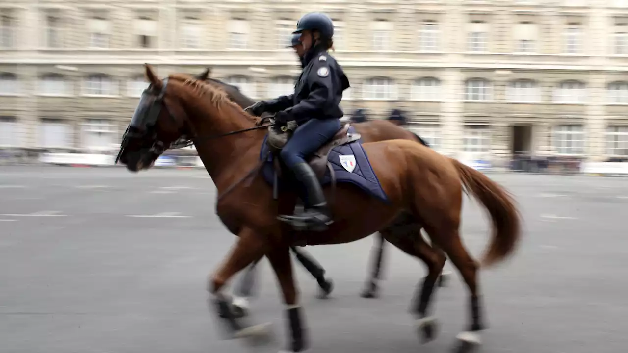 Marseille: un voleur poursuivi par la brigade équestre poignarde un cheval