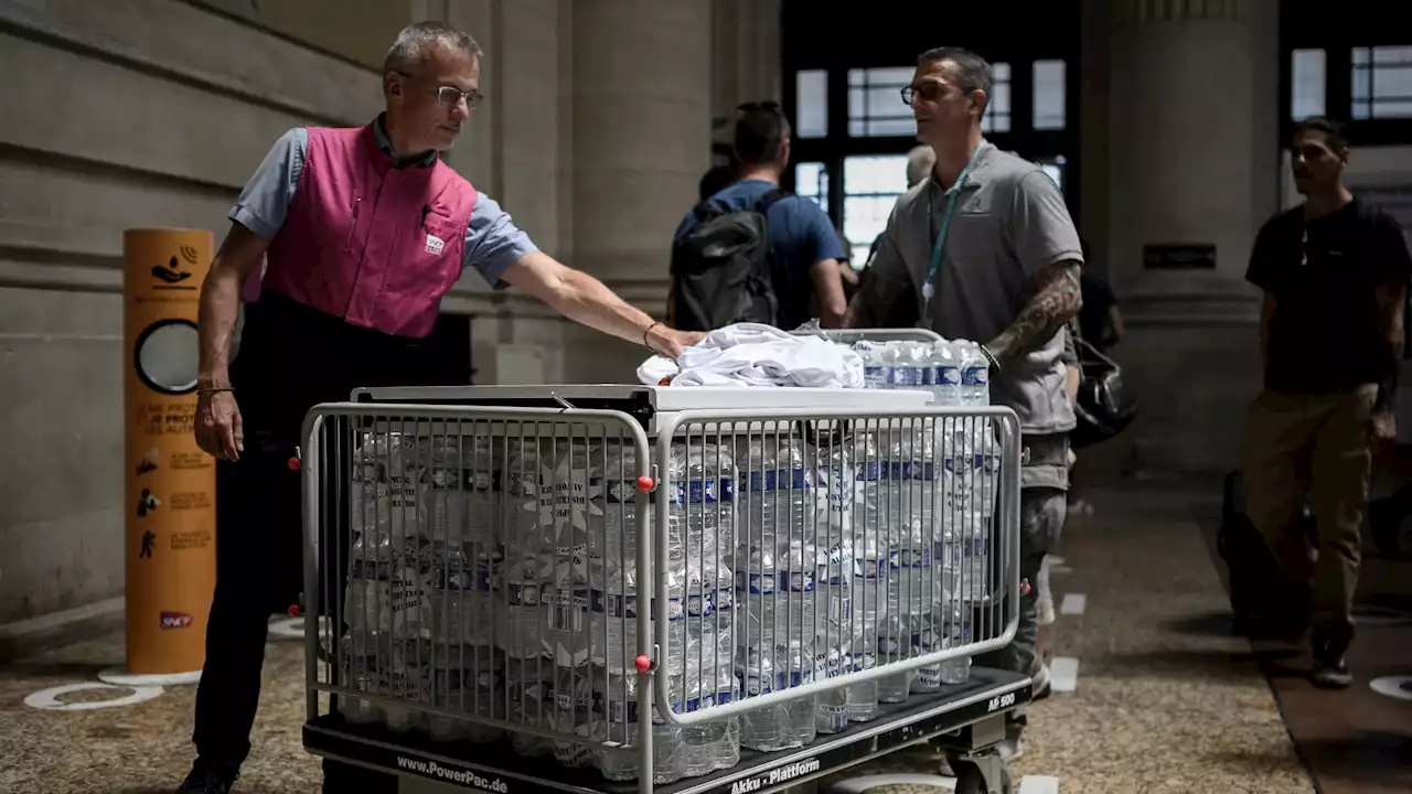 Messages de vigilance, distribution d'eau: ce que prévoit le dispositif canicule déployé dans les gares