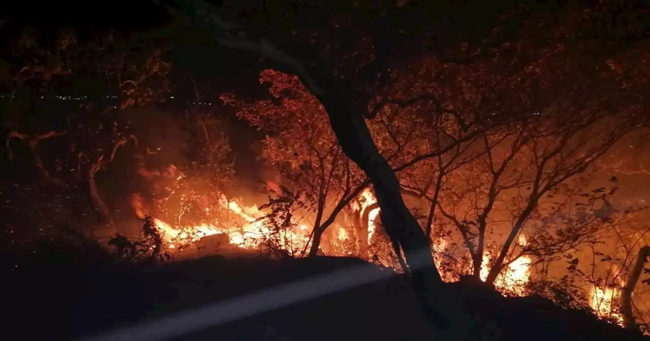 Se reportan 19 municipios del Huila afectados por incendios forestales