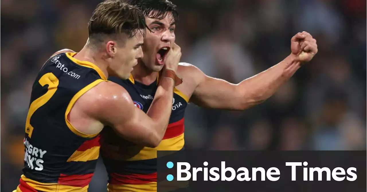 ‘Worst nightmare’: Possible AFL umpire error might have cost Crows a finals spot