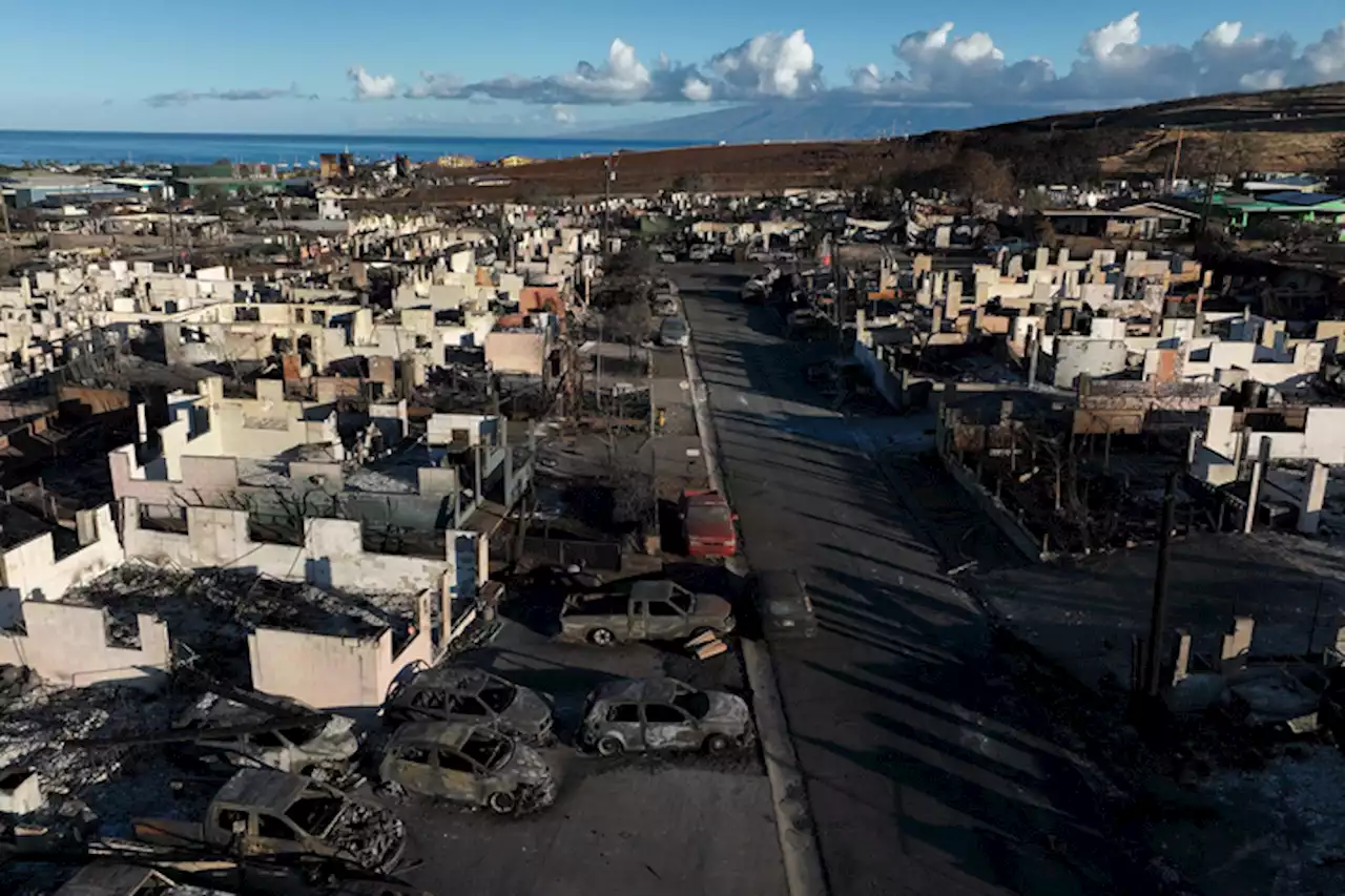 Maui fire lays bare utility missteps mirrored across the United States