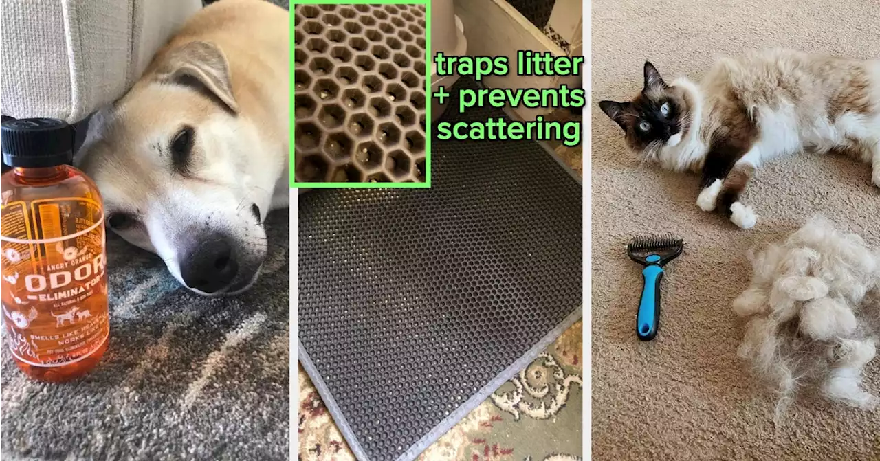 33 Things To Help You Tackle All The Disgusting Messes Your Pet Leaves For You