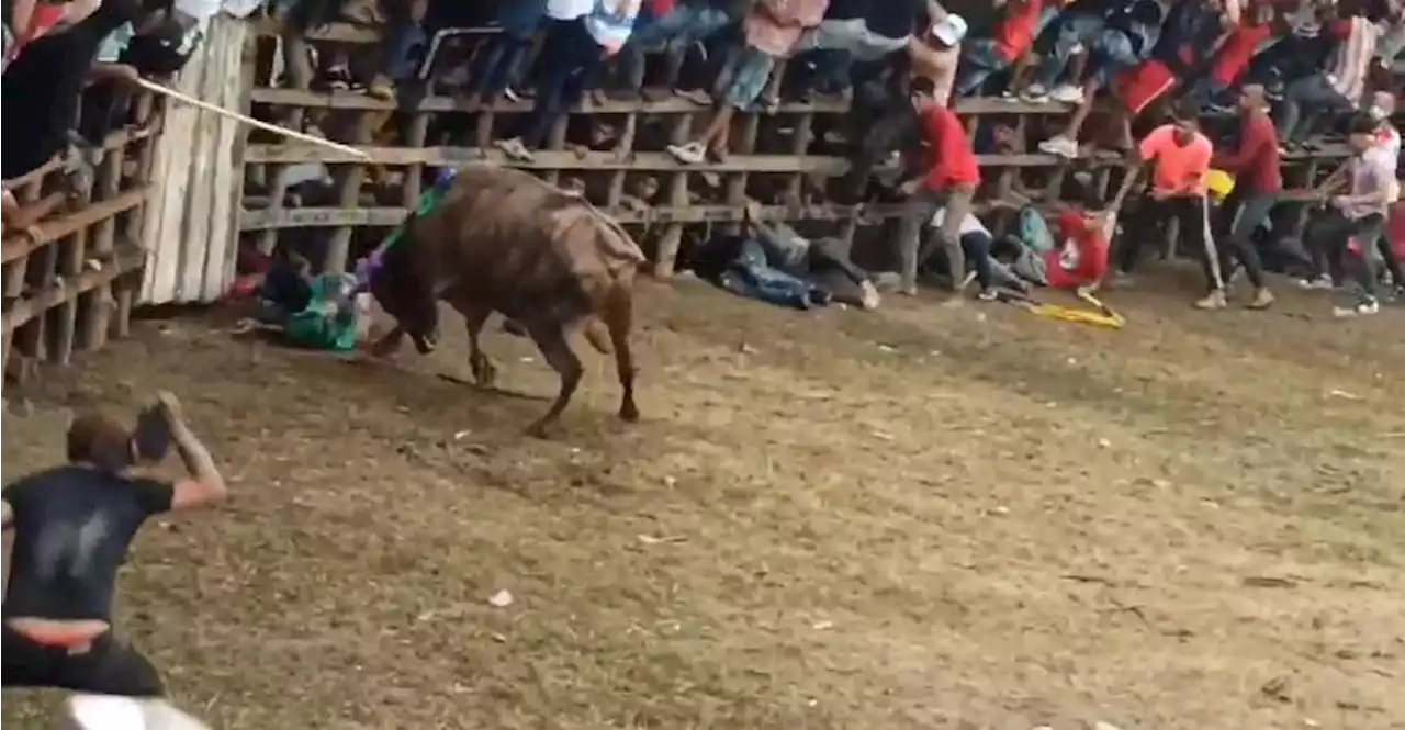 Un muerto y dos heridos dejan corralejas de San Jacinto, Bolívar