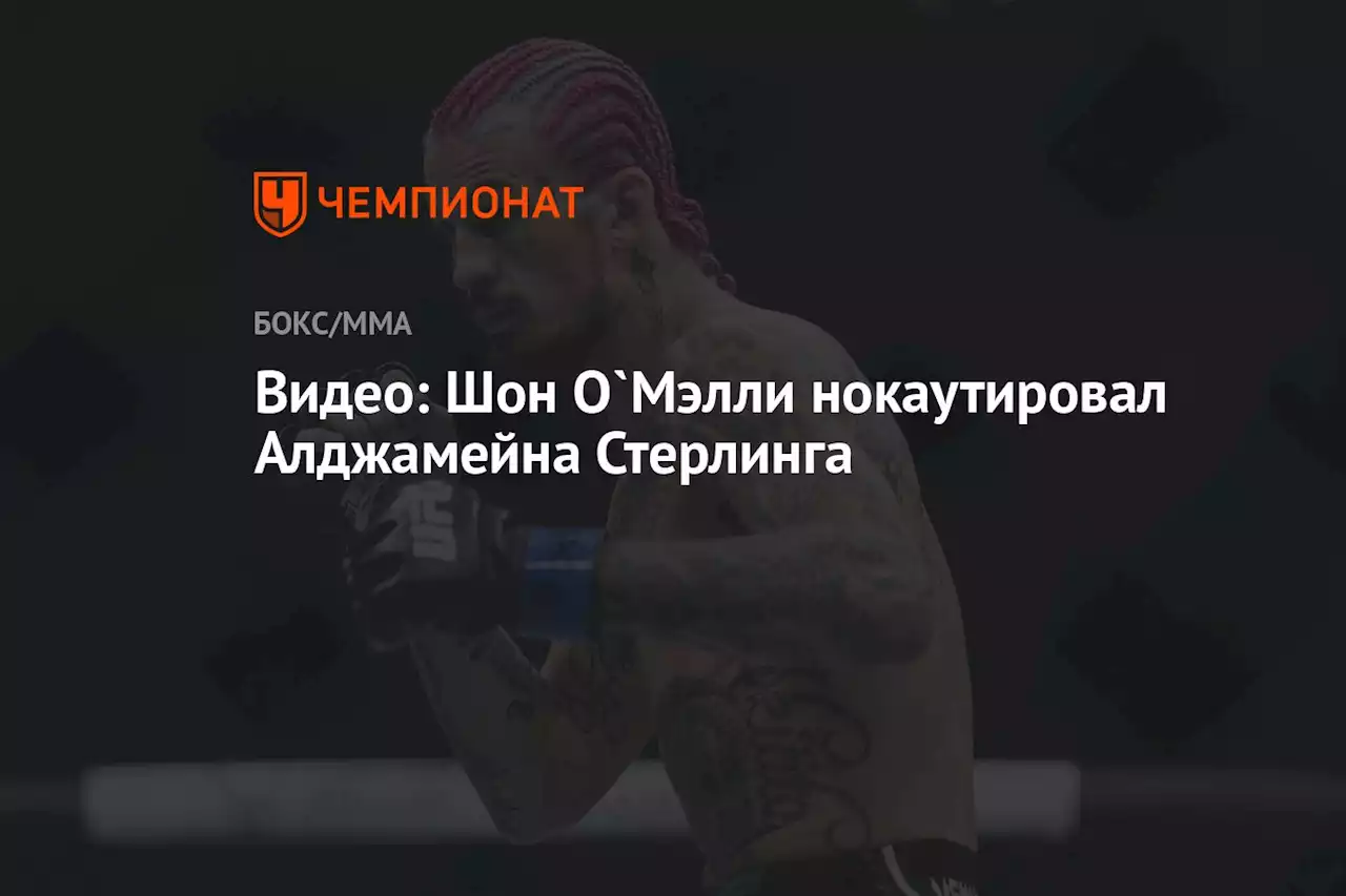 Видео: Шон О`Мэлли нокаутировал Алджамейна Стерлинга