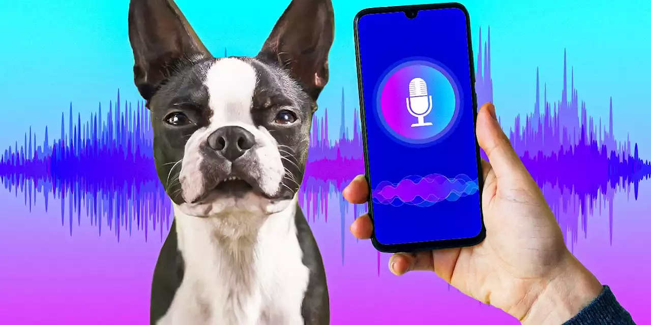 'Strays' Director Found the Voices for the Dogs By Using a 'Cheap App'