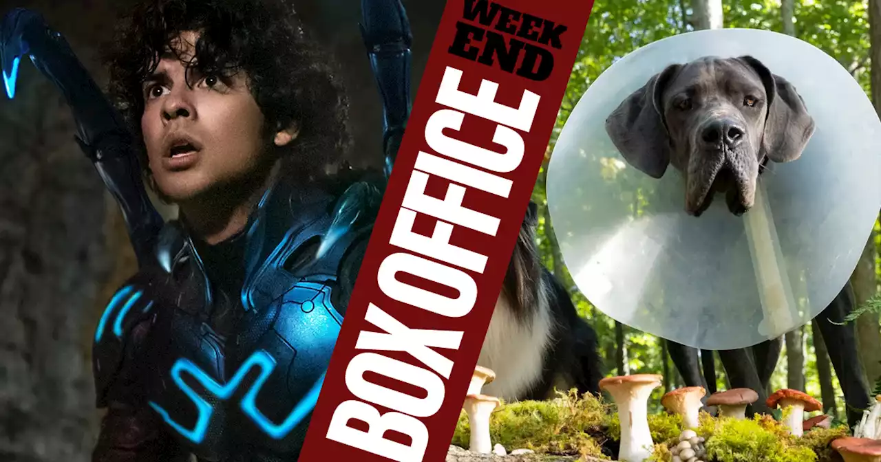 Box Office Results: Blue Beetle Overtakes Barbie Domestically