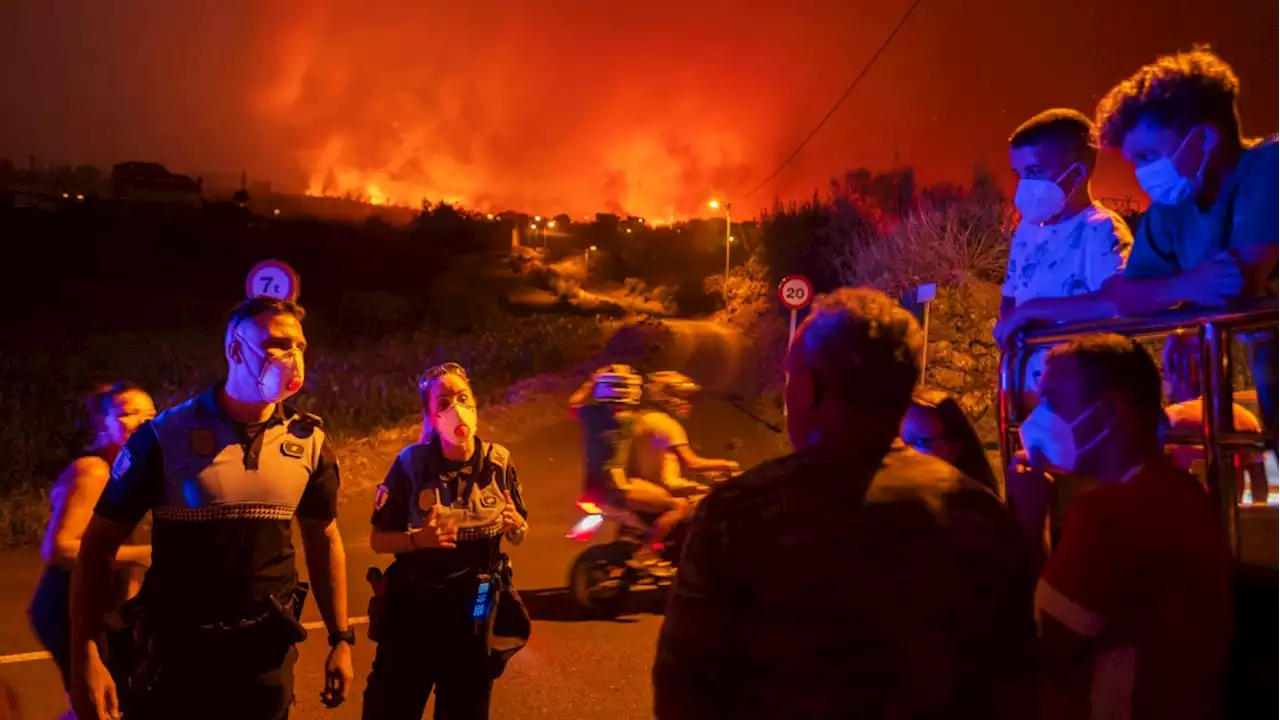 Wildfire on Spain's popular tourist island of Tenerife was started deliberately, official says