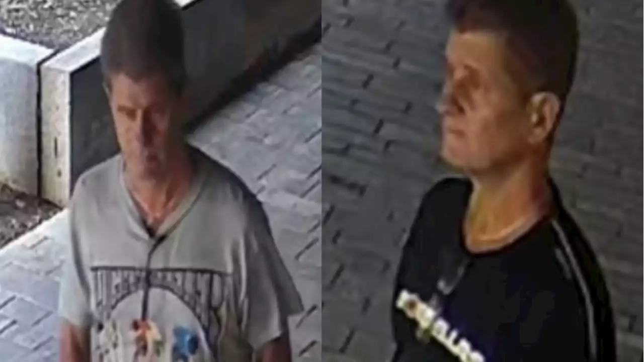 Man wanted for allegedly dropping softball-sized rocks on vehicles off Toronto bridge