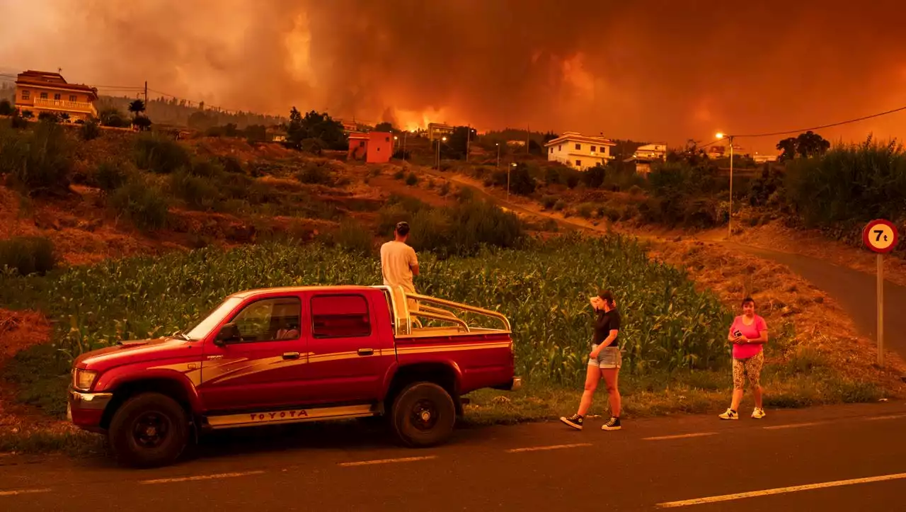 Schlimmste Waldbrände seit 40 Jahren: Feuer auf Teneriffa verschlingt 11 600 Hektar