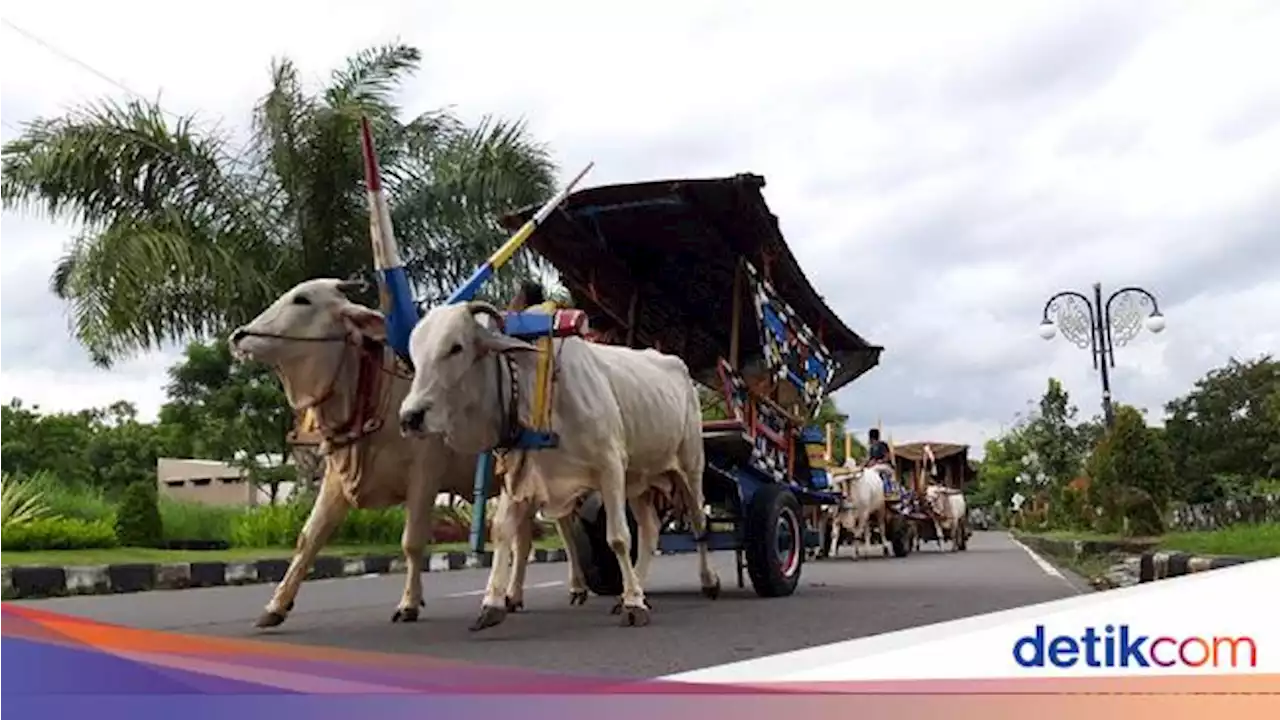 Bajingan Ternyata Nama Sebuah Profesi, Tapi Kenapa Sering Diucapkan sebagai Makian?