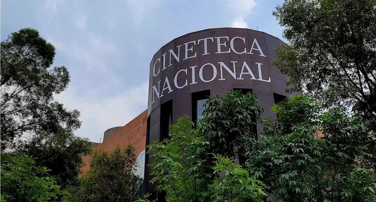 Nueva Cineteca Nacional de las Artes desata euforia; agotan funciones gratuitas en fin de semana