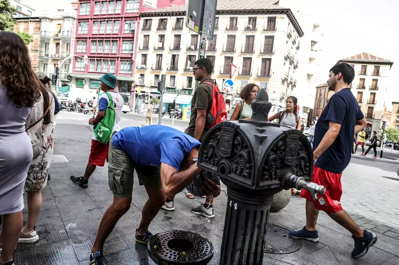 Cómo es morir (literalmente) de calor en España