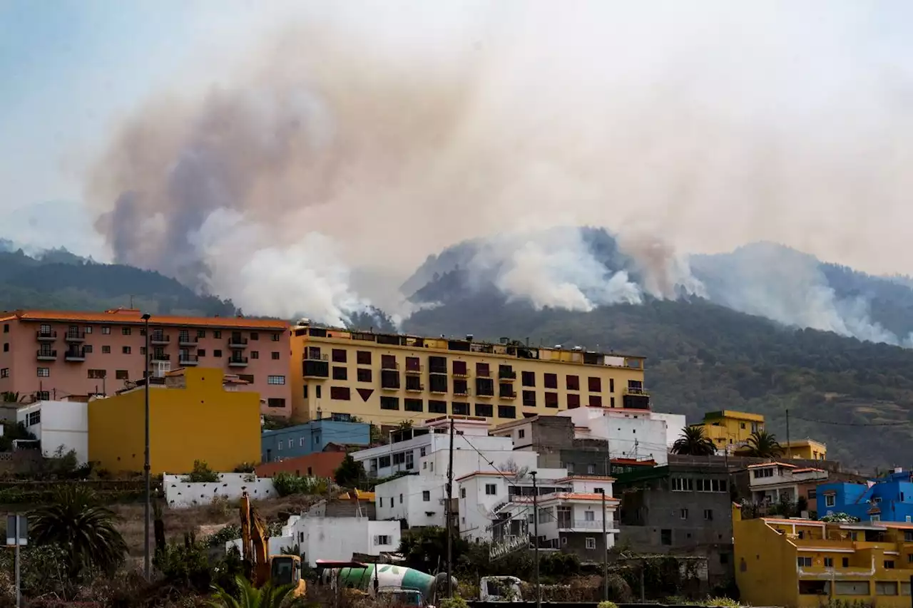 La mejoría de las condiciones meteorológicas frena la expansión del incendio de Tenerife