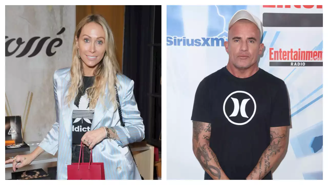 Tish Cyrus Marries Dominic Purcell, Miley Serves as Maid of Honor