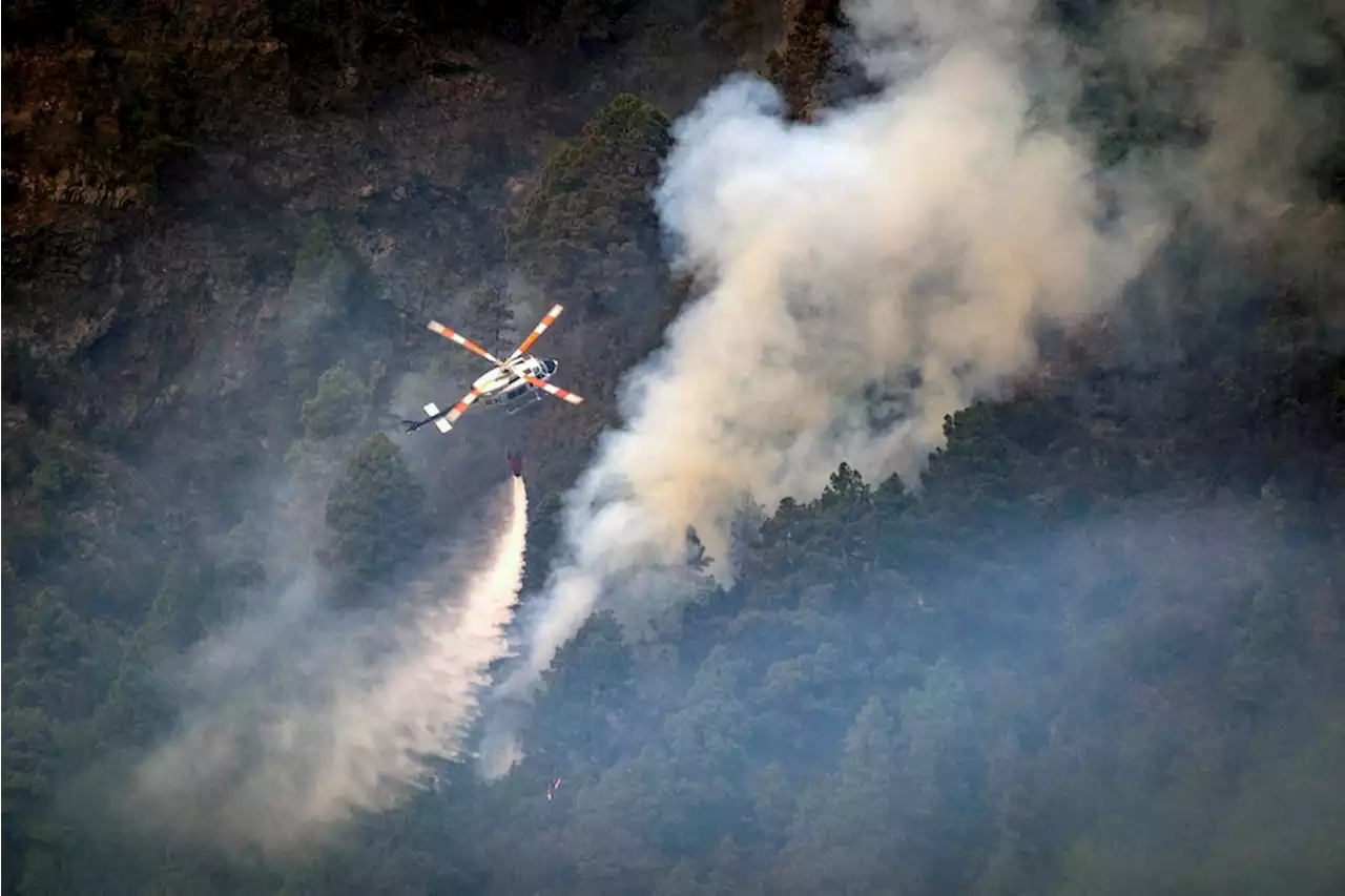 Notfälle: Waldbrand auf Teneriffa erfasst bereits 10.000 Hektar