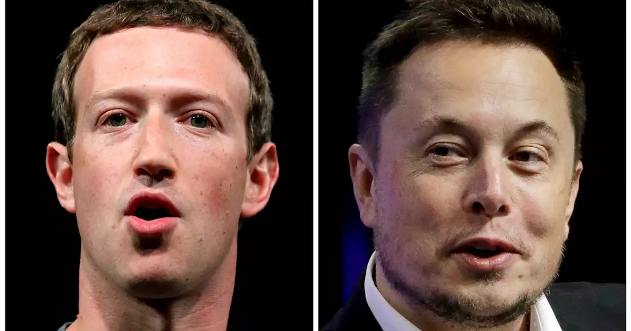 | Il combattimento tra Elon Musk e Mark Zuckerberg è una guerra dell'ego