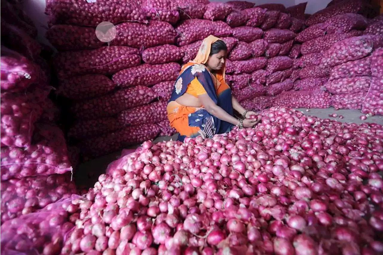 India imposes 40% export duty on onions