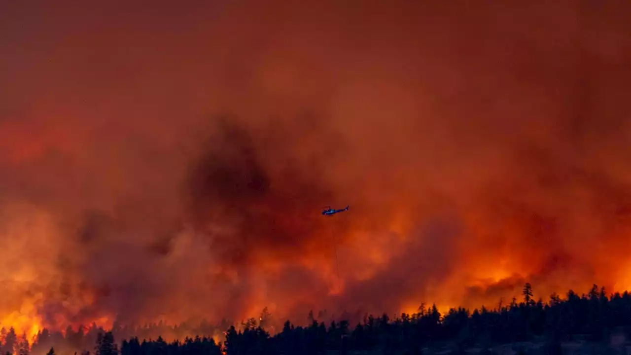 Canada's British Columbia declares state of emergency as thousands are forced to evacuate Kelowna