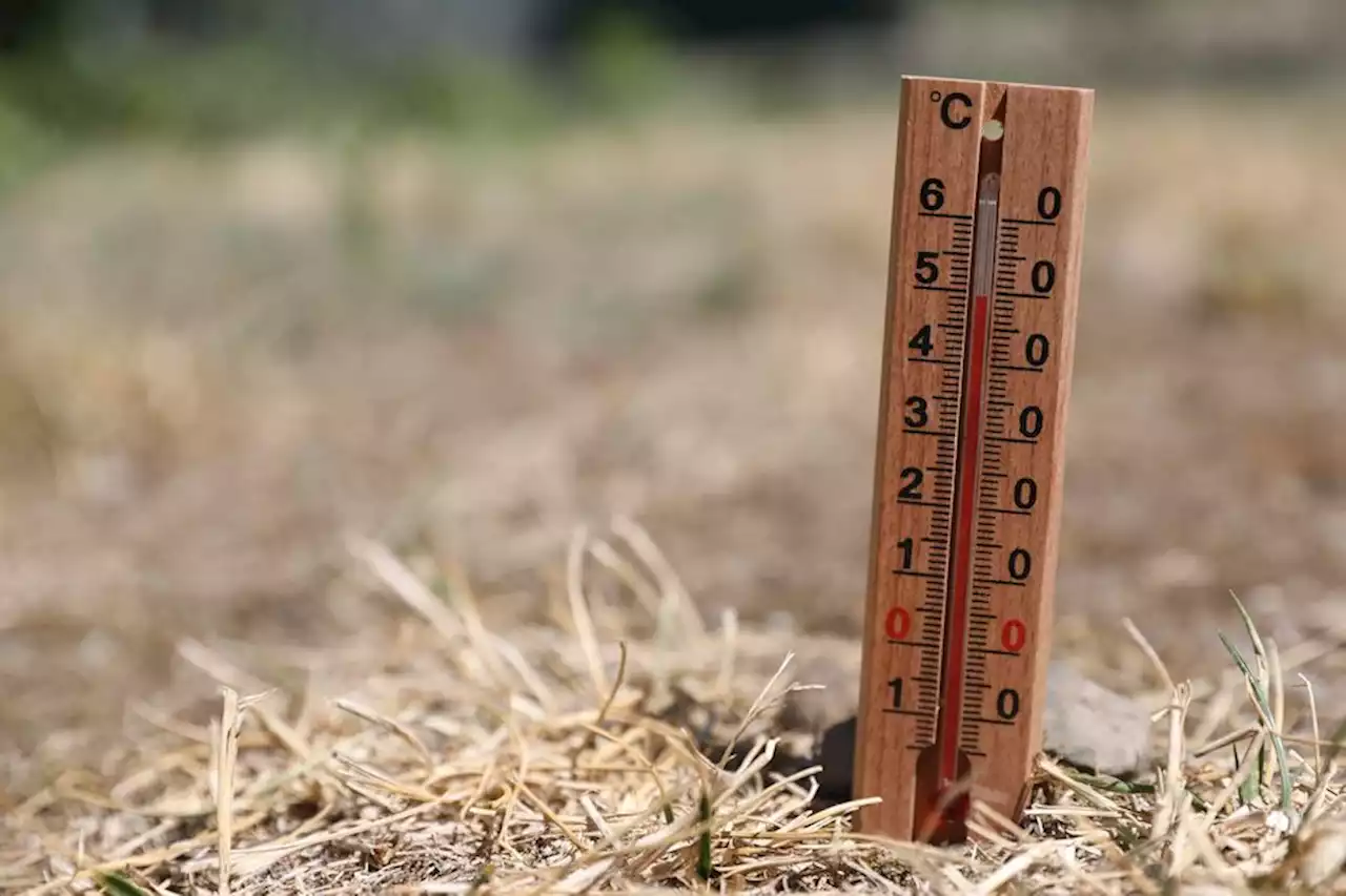 Toute la région Provence-Alpes-Côte d'Azur à nouveau en vigilance orange canicule lundi