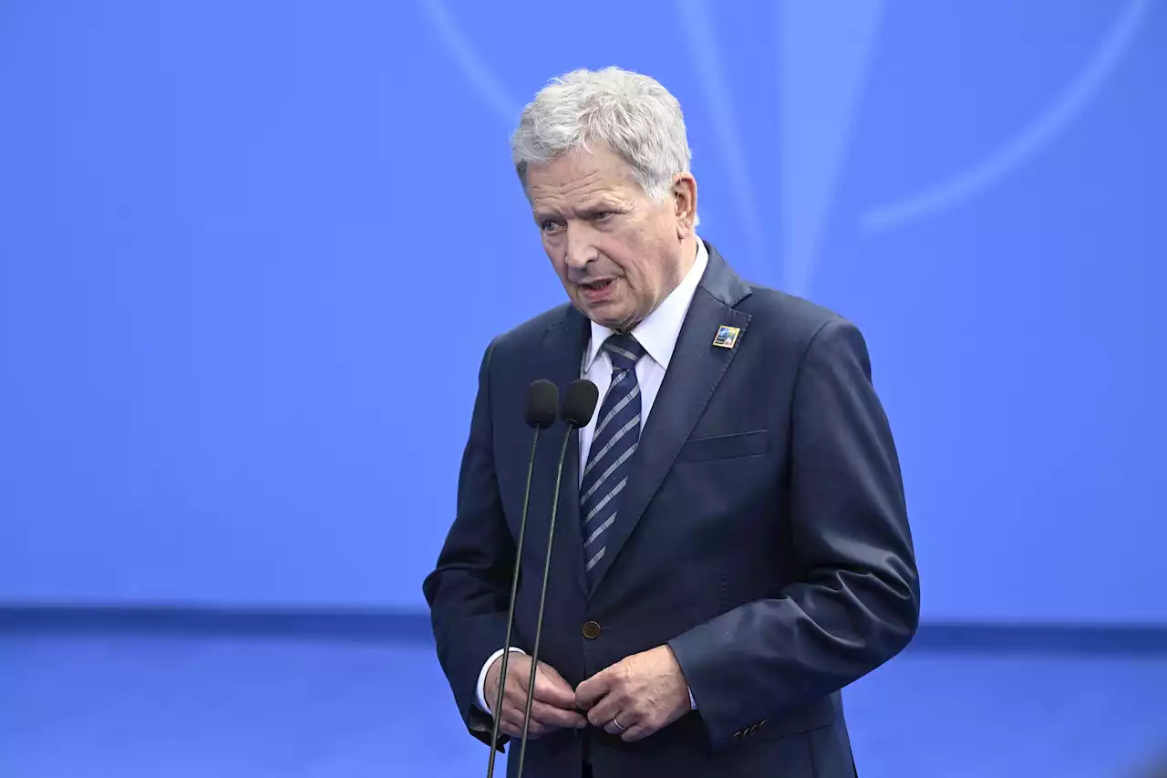 Niinistö: Allt mer rysk press mot Finland