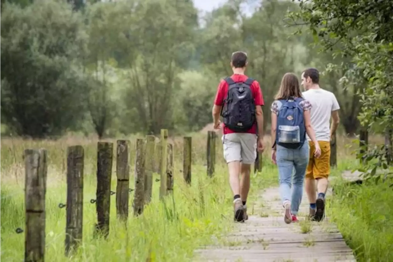 Lokaal bestuur roept wandelaars op om Sint-Katelijne-Waver te verkiezen tot Wandelgemeente van het jaar