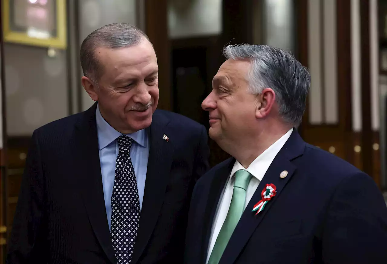 Erdogan möter Orbán – kommer blågult Natodatum?