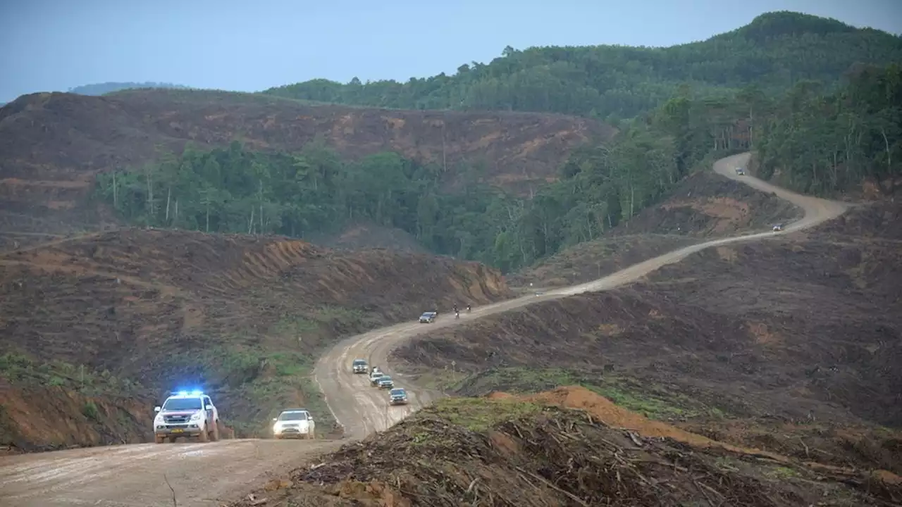 Cermati Dampak Lingkungan dan Sosial Pemindahan Ibu Kota Negara