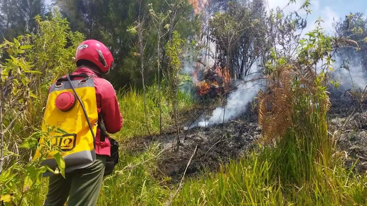 Team Attempts to Extinguish Hot Spots in Bromo Tengger Semeru National Park