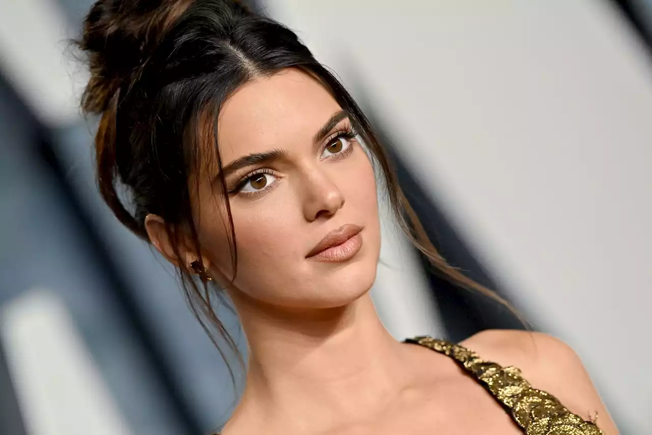 Kendall Jenner Wore a Sheer Dress Over Sheer Lace Lingerie