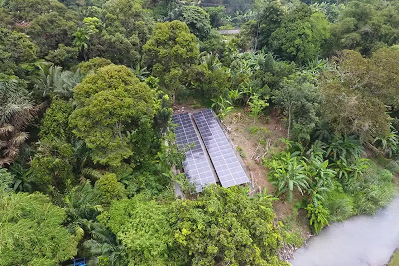 PTBA Bangun PLTS Irigasi Kapasitas 36 KWp di Sumatera Selatan, Mampu Aliri 35 Hektare Sawah