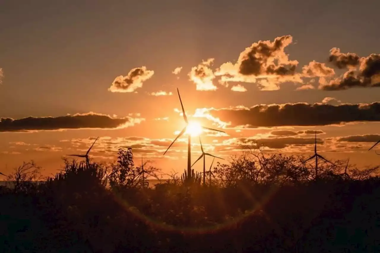 Brasil terá ‘verão verde’ com recorde de energia renovável e alívio no bolso