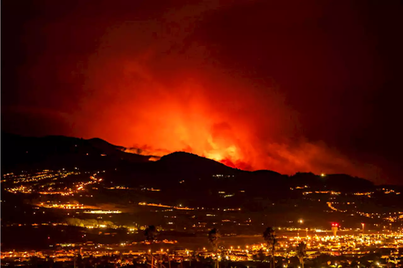 Official says wildfire on Spain's popular tourist island of Tenerife was started deliberately