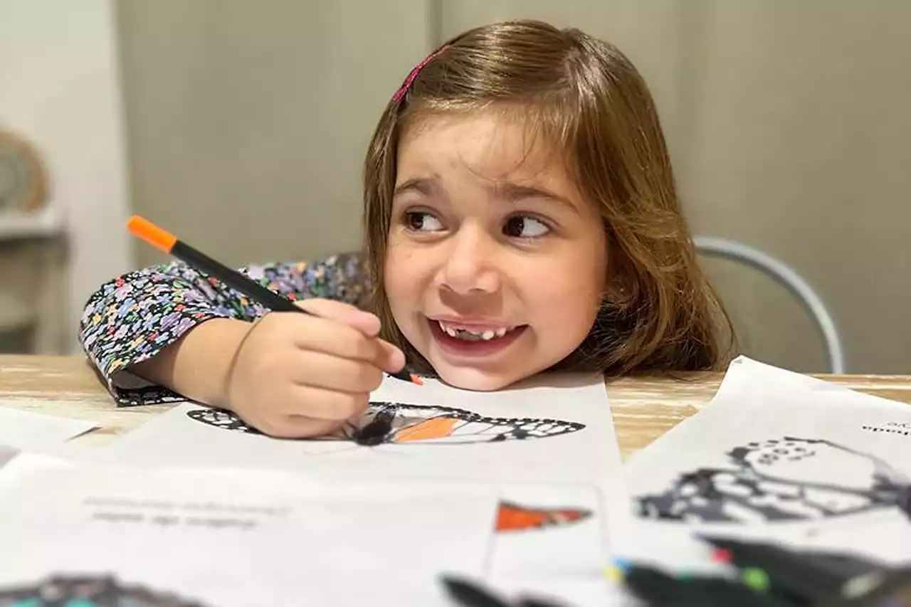 Día de la Niñez. Seis mariposas argentinas para colorear y divertirse