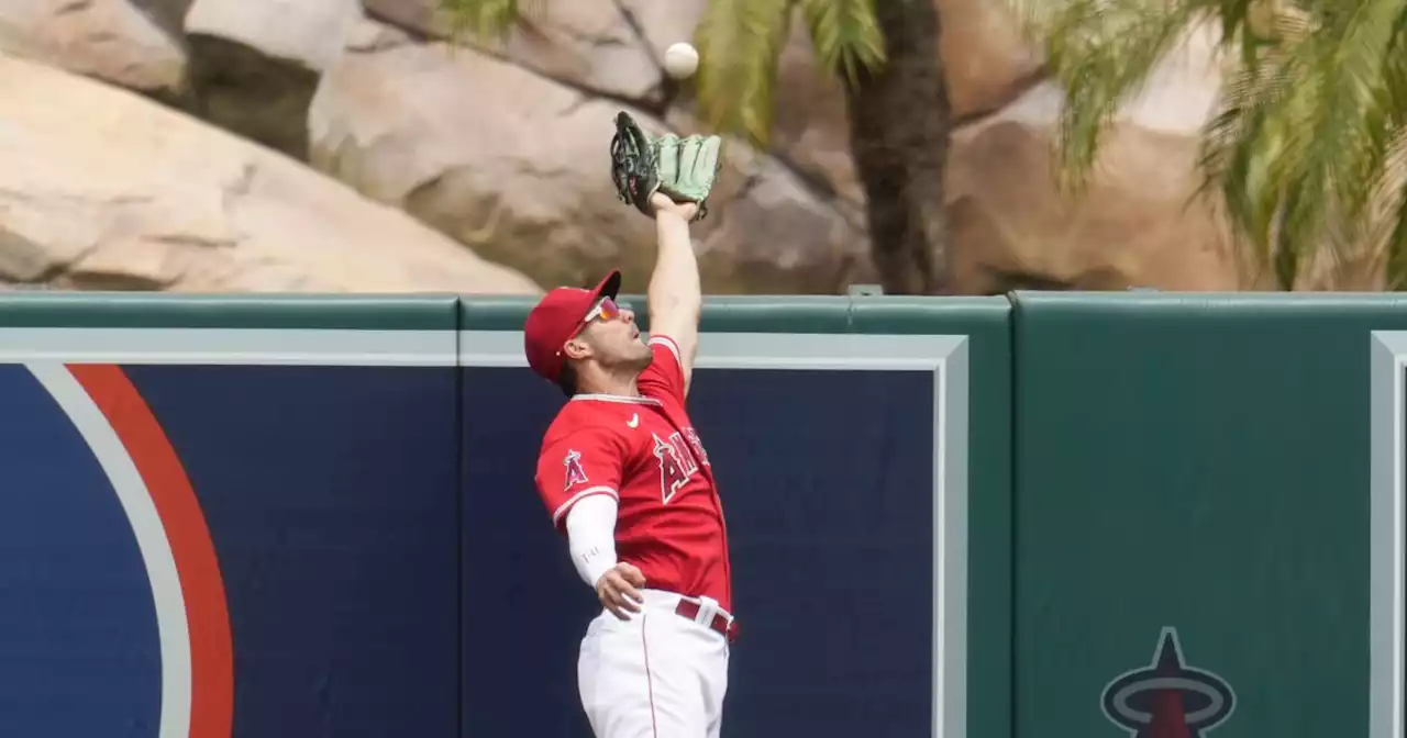 Randal Grichuk provides the heroics in Angels' victory over Rays