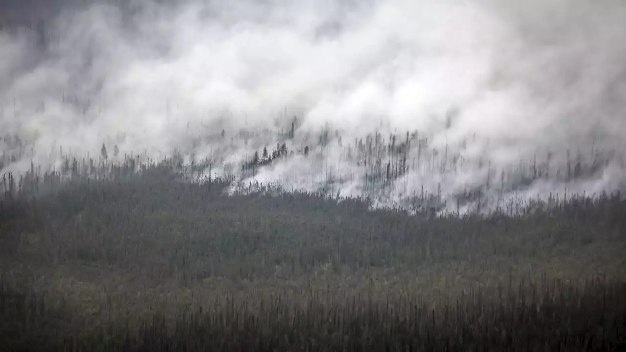 Kebakaran Hutan Kanada: 30 Ribu Orang Diperintahkan untuk Evakuasi dari British Columbia