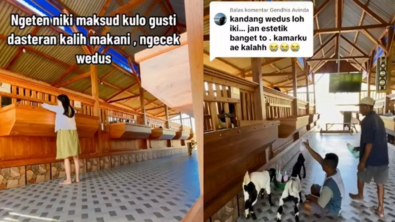 Viral Kandang Kambing Sultan di Tuban Curi Atensi, Warganet Puji Estetik bak di Perumahan Elite